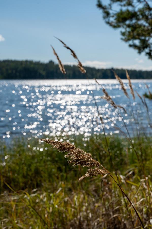 Willa Saimaan Kultaranta Puumala Zewnętrze zdjęcie